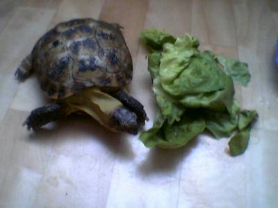 So und hier ein Ganzk?rperfoto!!!