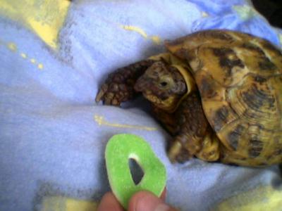 So, da ist nen besseres Foto!!!