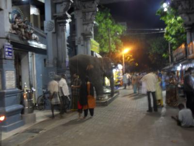 eat, pray, love ... in Pondicherry...