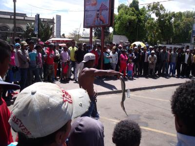 Sonntagsbelustigung am Bahnhof: Schlangenspiele