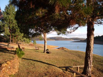 Das nennt sich hier dann Busch