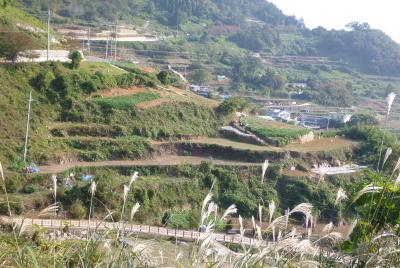 kleinste Terrassen &uuml;berall, weil die Insel nur h&uuml;gelig ist