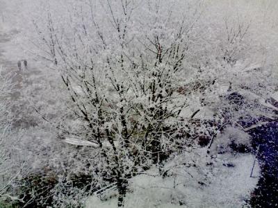 winter fast im frühling winter fast im frühling
