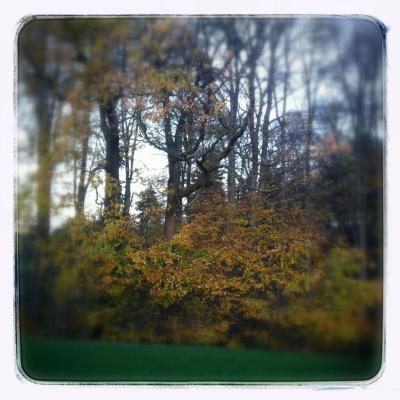 last autumn days before the deep freeze.