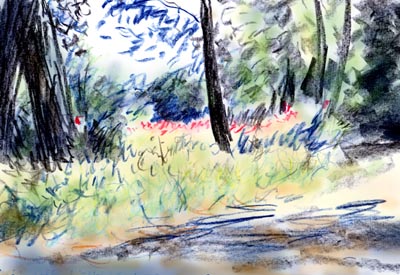Seidelpark Seidelpark