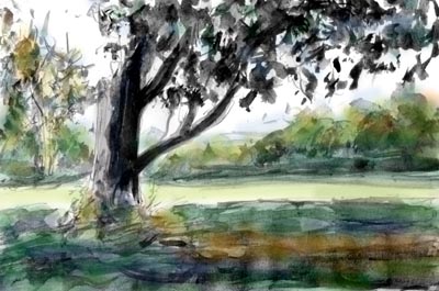 Camsdorfer Ufer