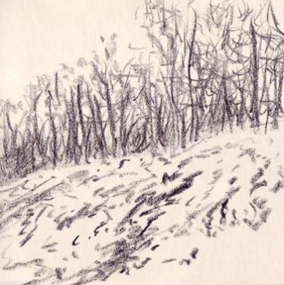 Jena Zeichnung Schnee Wald