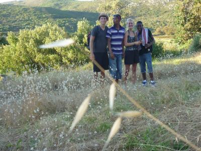 eines von den schönen aber teuren Bildern im Abendlicht des Silvermine-Nationalparks (15 km von Zuhause entfernt)