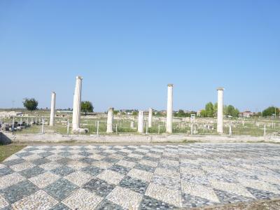 eines der vielen Mosaike von Pella