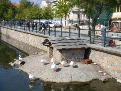 Florina