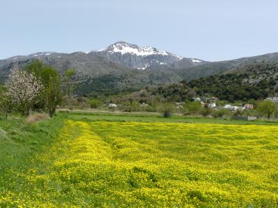 auf dem Lasithi-Plateau