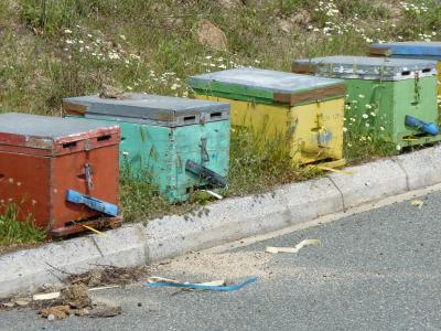 Bienenst&ouml;cke