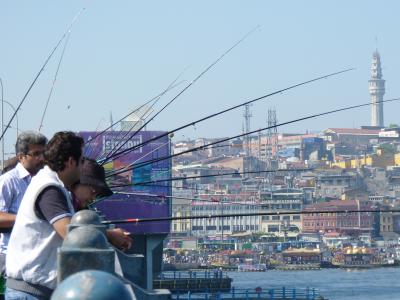 auf der Galata-Br&uuml;cke: unser Abendessen wird gefangen
