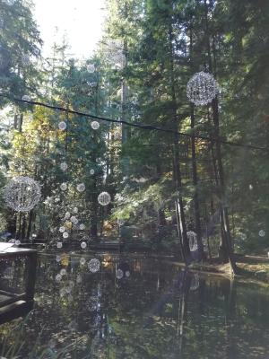 National Park bei Vancouver National Park bei Vancouver