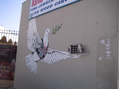 friedenstaube erschossen