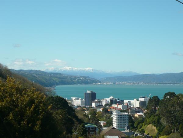 sicht auf wellington vom huegel