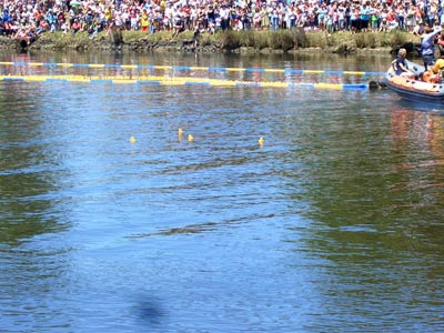 Entenrennen Entenrennen