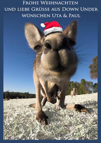 merry xmas merry xmas