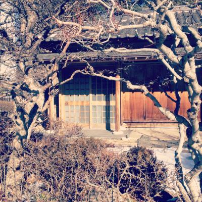 Ein kleines Teehaus im japanischen Garten // A little teahouse at the Japanese Gardens