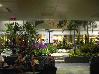 Das ist der Koi-Teich des Flughafens in Singapur. Der h&uuml;bsche Teppich boden befindet sich &uuml;brigens im ganzen Flughafen, gibts auch noch in blau und rosa :-).<br />
<br />
