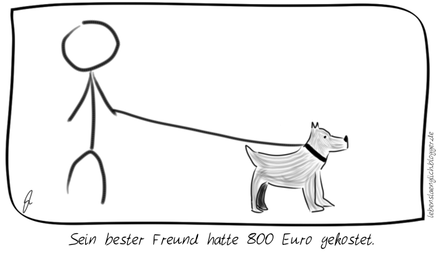 Sein bester Freund hatte 800 Euro gekostet.