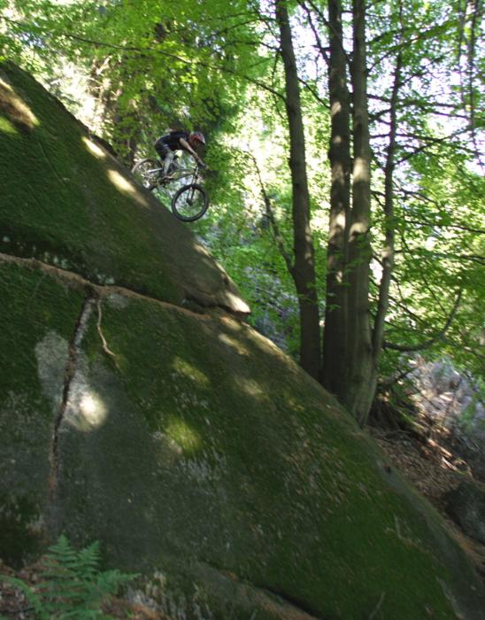 2004 andy fichtelplattenshore