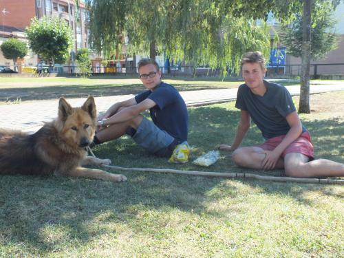 Nico, Paul und Timmi der Hund