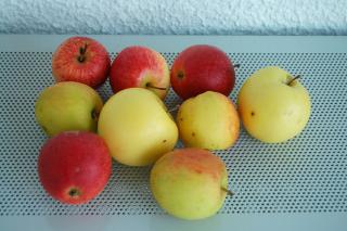 Garantiert ökologisch wertvoll und Bio - Äpfel aus Sommersdorf