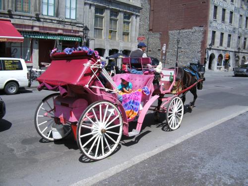eine rosa Kutsche, gut das hier keine Frau mir war!