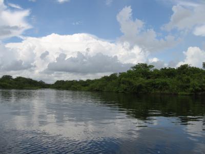 Weg nach Lamanai
