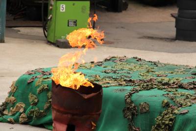 Feuer *hach*
<br />
Ich HASSE Feuer!
<br />

<br />

<br />

<br />
(Ich bin nicht verrückt. Das hätten mir die Stimmen doch gesagt. xD