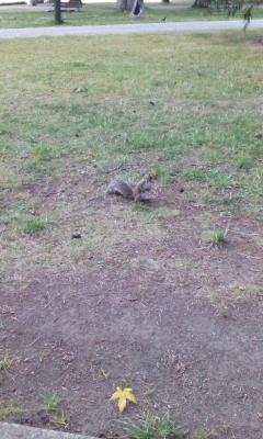 Fr&uuml;hst&uuml;cksh&ouml;rnchen