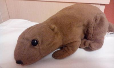 Gestatten: Kasimir, der Autor dieses Blogs