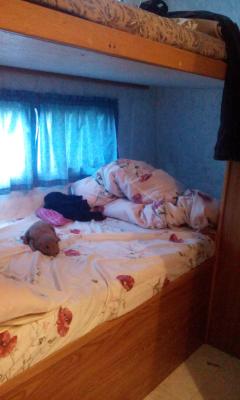 Der Camper (Schlafzimmer)