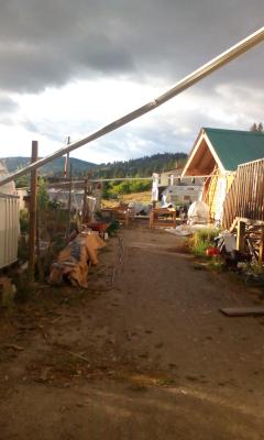 Blick auf einen Gartenteil mit Gew&auml;chsh&auml;usern