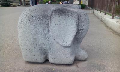 Der scheue, nur in Calgary vorkommende und stark bedrohte Steinminifant