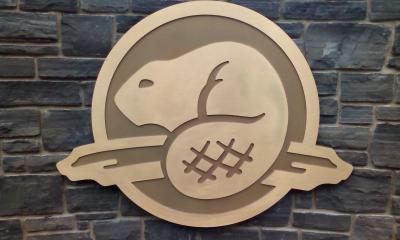 Allgegenw&auml;rtig - nur halt nicht in lebend