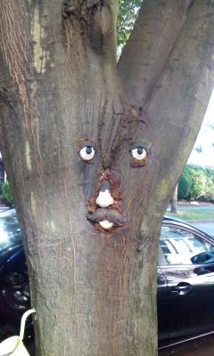 Kreatives mit B&auml;umen II