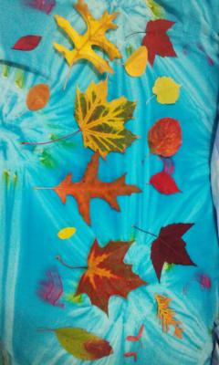 Von den Stra&szlig;enb&auml;umen Vancouvers