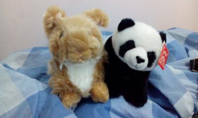 Wir brauchen jeder einen Namen (nuffnuff) Wir brauchen jeder einen Namen (nuffnuff)