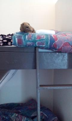 warum muss ich immer so weit nach oben klettern? Bin auch nicht mehr der Juengste... warum muss ich immer so weit nach oben klettern? Bin auch nicht mehr der Juengste...