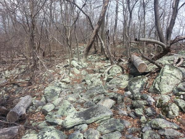 Rocks