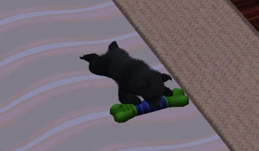 Sims 3 Tierisch gut drauf