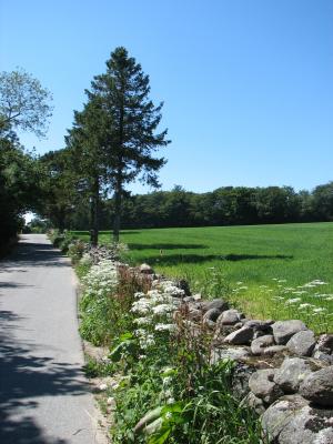 auf dem weg nach hause..