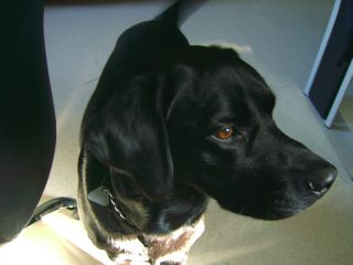 ... entschuldige, aber ich kann nicht ewig auf den Ausl&ouml;ser warten ... dahinten ist doch etwas Spannenderes ...