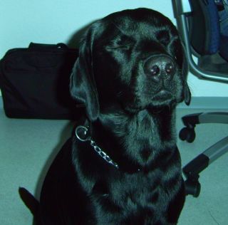 Ich seh dich nicht - dann siehst du mich auch nicht ! Hihi ...