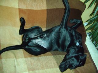 Ja, so schlaf ich sehr gerne ... sieht komisch aus, is aber so!