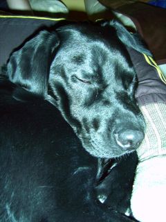 Gott bin ich s&uuml;&uuml;&uuml;&uuml;&szlig;, wenn ich schlafe - ein gro&szlig;es Baby.