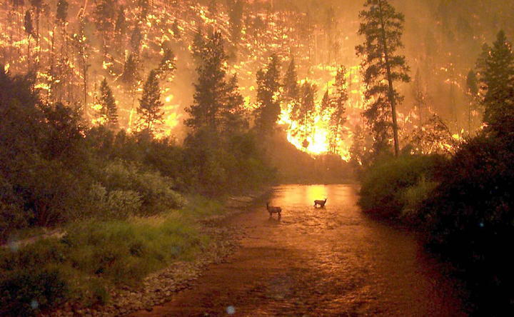 burning montana