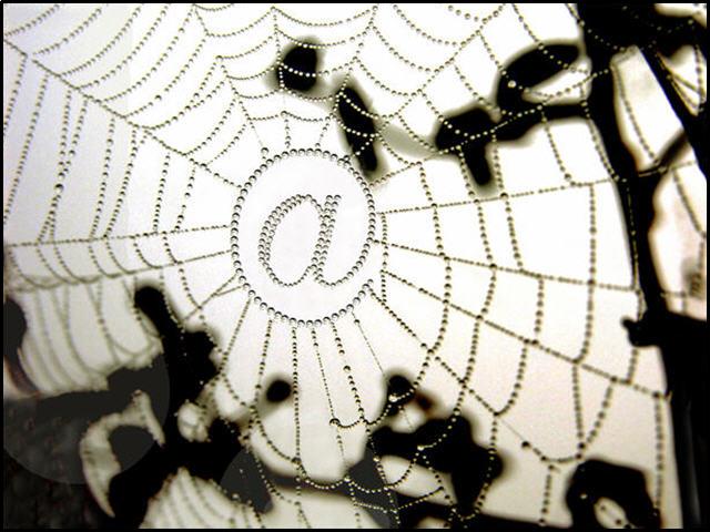 the web